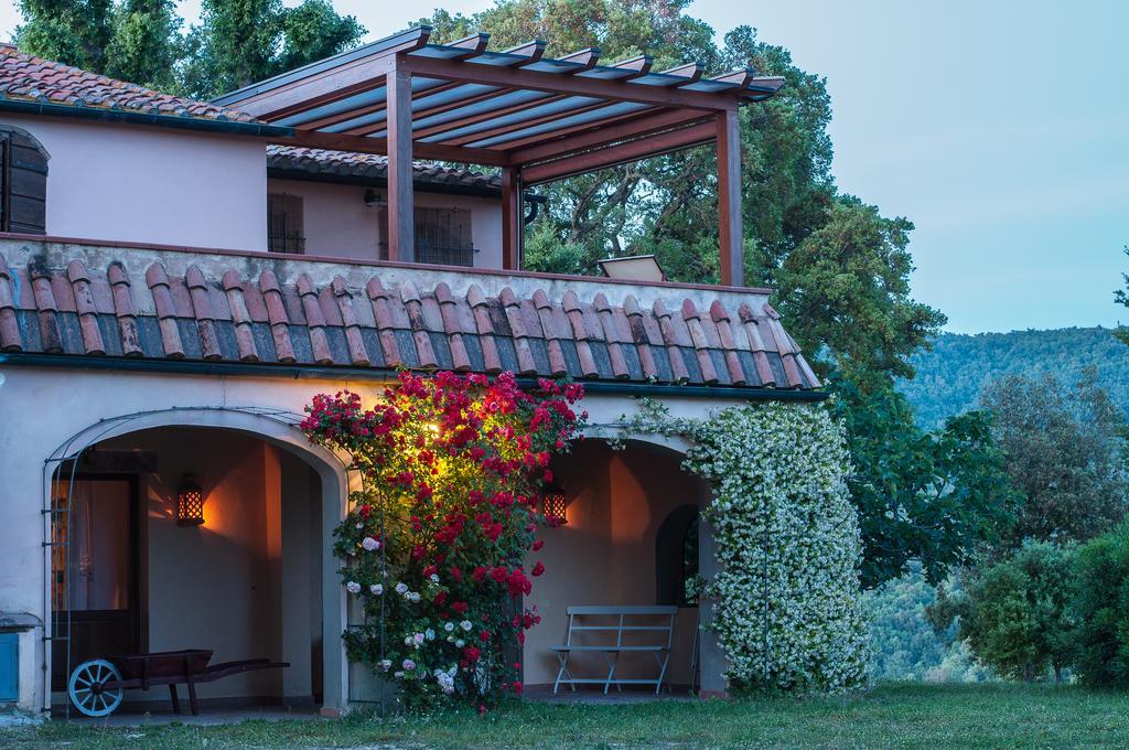 Гостевой дом Agriturismo Colle Donatucci Кастаньето-Кардуччи Номер фото