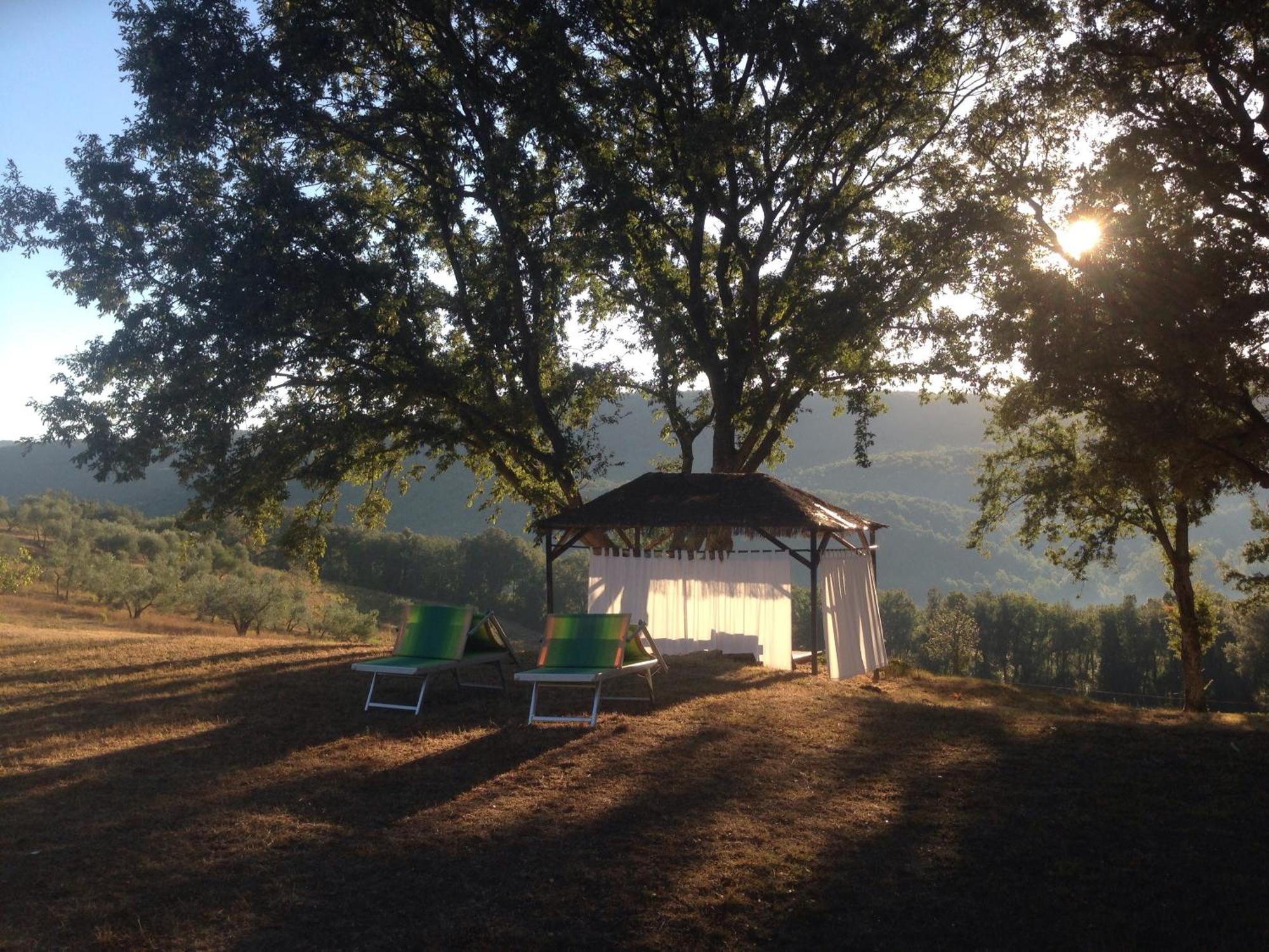 Гостевой дом Agriturismo Colle Donatucci Кастаньето-Кардуччи Экстерьер фото