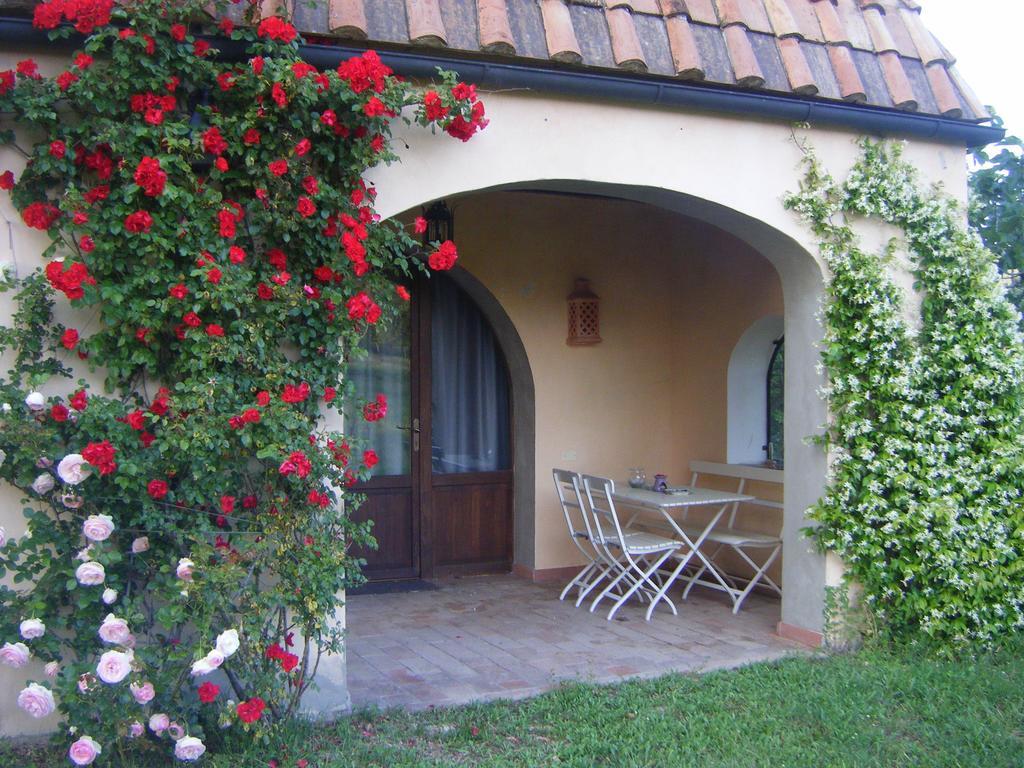 Гостевой дом Agriturismo Colle Donatucci Кастаньето-Кардуччи Номер фото