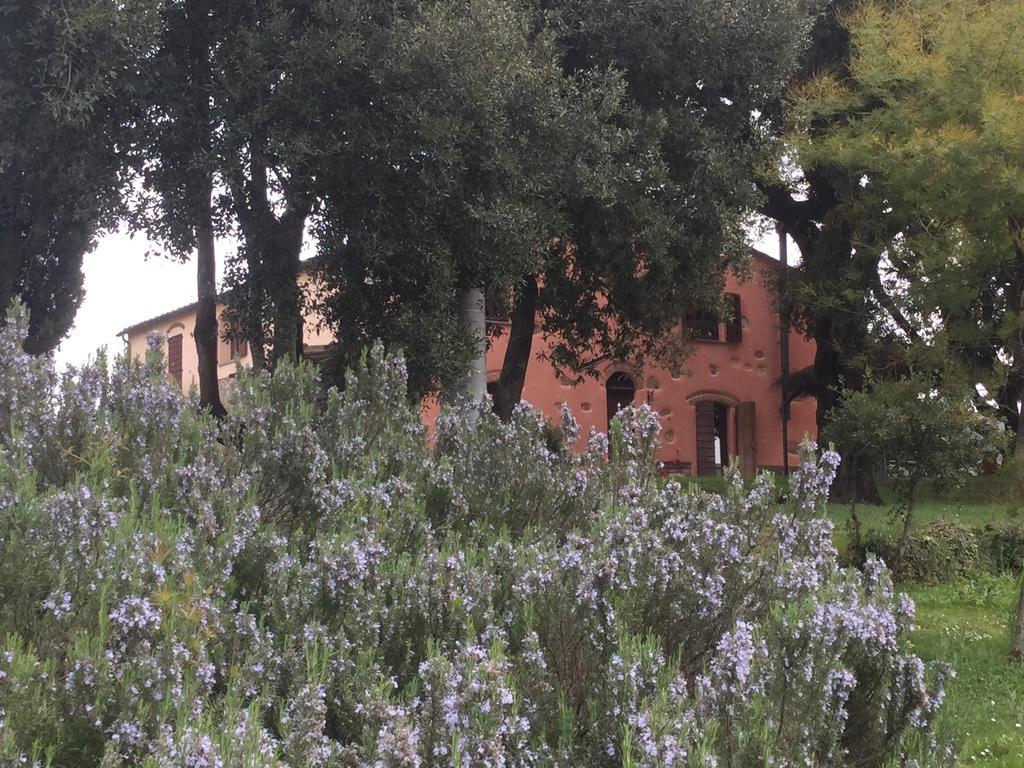 Гостевой дом Agriturismo Colle Donatucci Кастаньето-Кардуччи Экстерьер фото