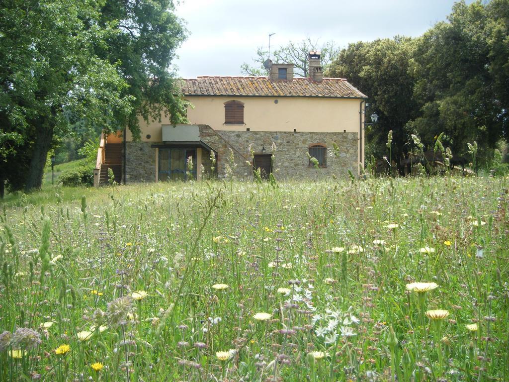Гостевой дом Agriturismo Colle Donatucci Кастаньето-Кардуччи Экстерьер фото